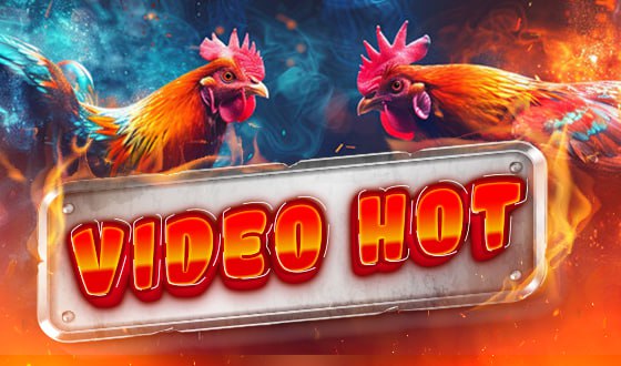 Video highlight